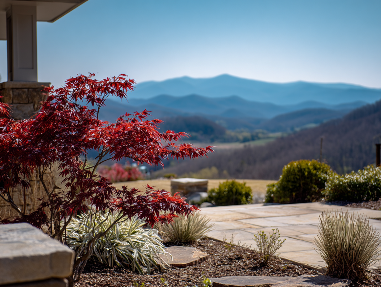 japanese maplel with grasses in foreground and mountains in the background