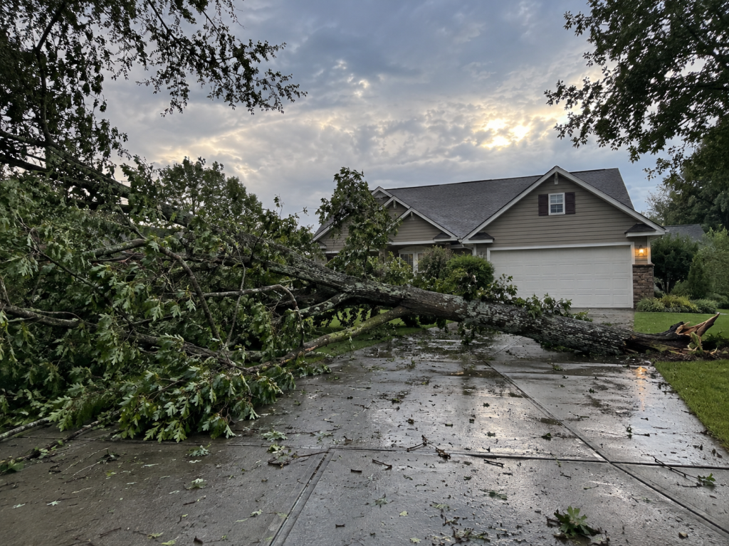 Storm damage drives a surge of tree service calls